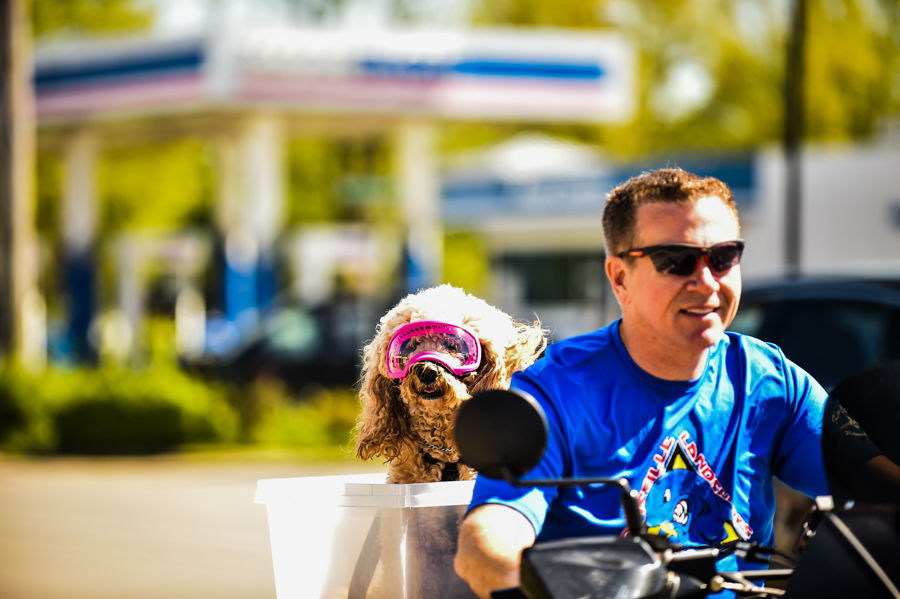 Biker and Barker-3.jpg